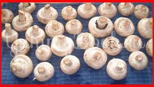 Рецепт Шампиньоны фаршированные с беконом