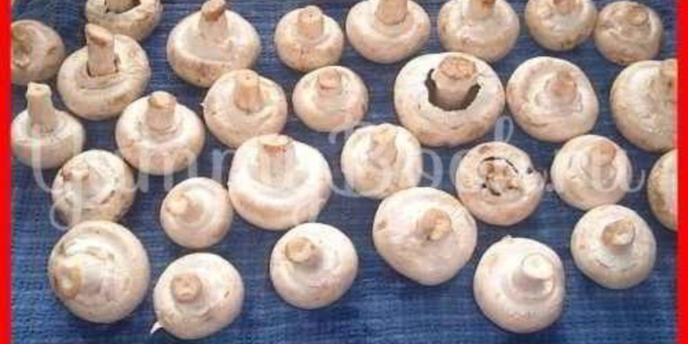 Как приготовить шампиньоны фаршированные с беконом