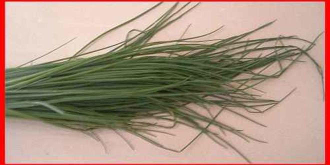 Рецепт шампиньоны фаршированные с беконом