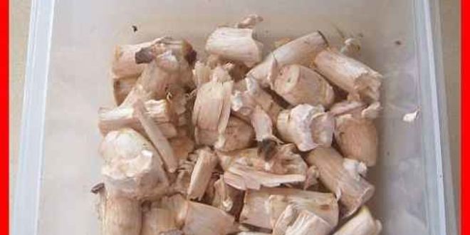 Рецепт шампиньоны фаршированные с беконом