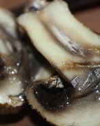 Шампиньоны с чесночным ароматом на мангале