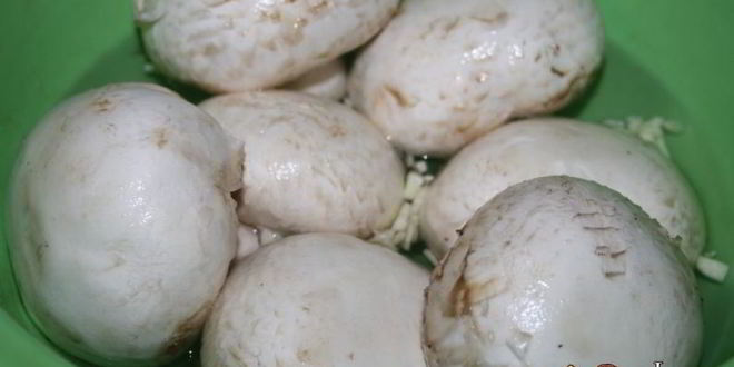 Рецепт шампиньоны с чесночным ароматом на мангале