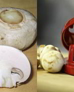 Шампиньоны с чесноком