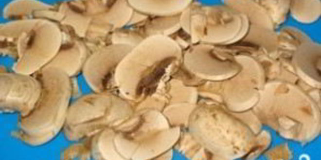 Рецепт шампиньонов в сливочнома соусе