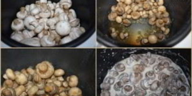 Рецепт тушеные грибы в мультиварке