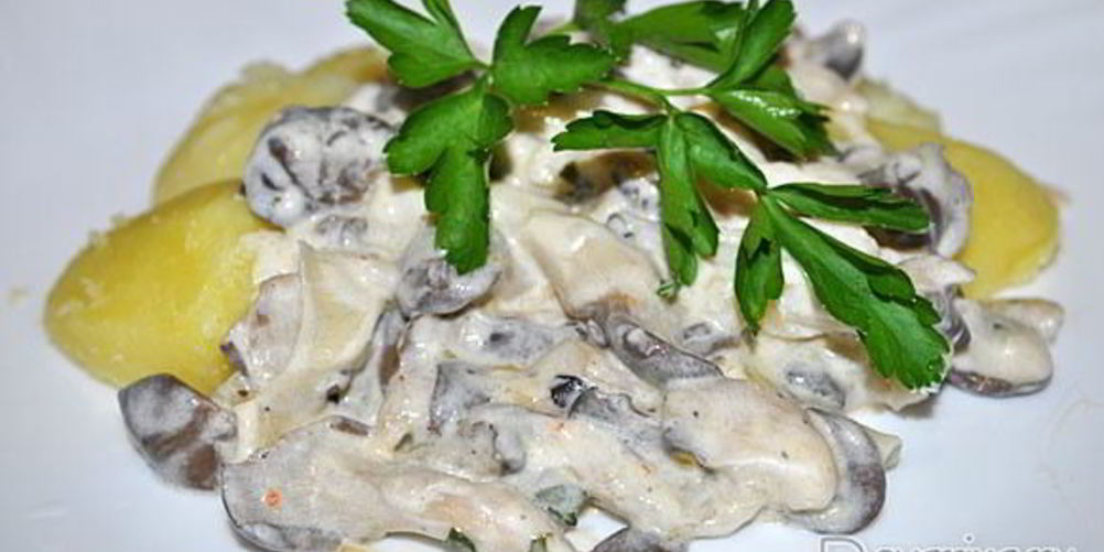 Как приготовить вешенки, тушенные в сметане