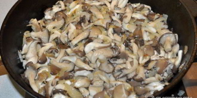 Рецепт вешенки, тушенные в сметане