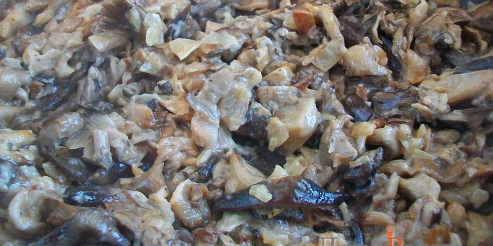 Как приготовить жареные грибы со сметаной — грибная начинка