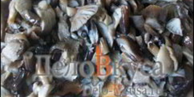 Рецепт жареные грибы со сметаной — грибная начинка