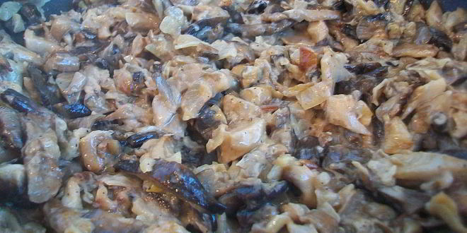 Рецепт жареные грибы со сметаной — грибная начинка