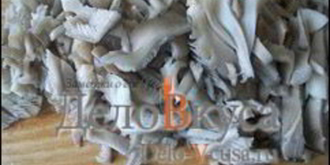 Рецепт жареные грибы со сметаной — грибная начинка