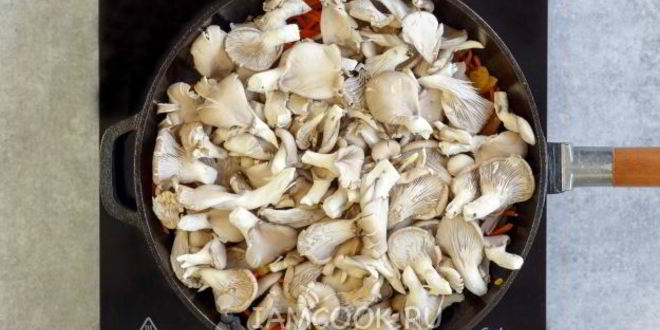 Рецепт жареные вешенки