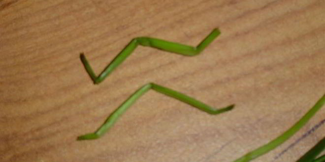 Рецепт картофельное пюре паучки