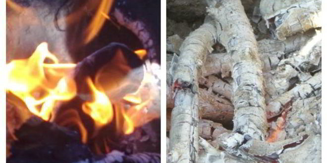 Рецепт свиная котлета-гриль