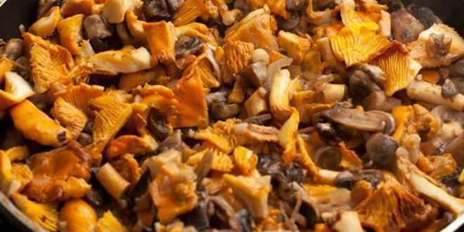 Рецепт лазанья с грибами