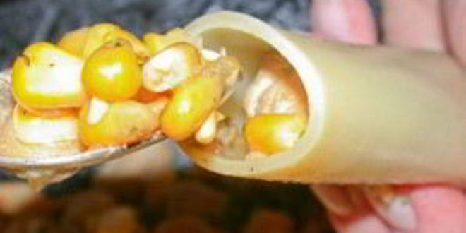 Рецепт каннеллони, фаршированные курицей и грибами