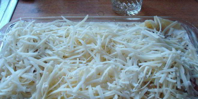 Рецепт каннеллони с семгой