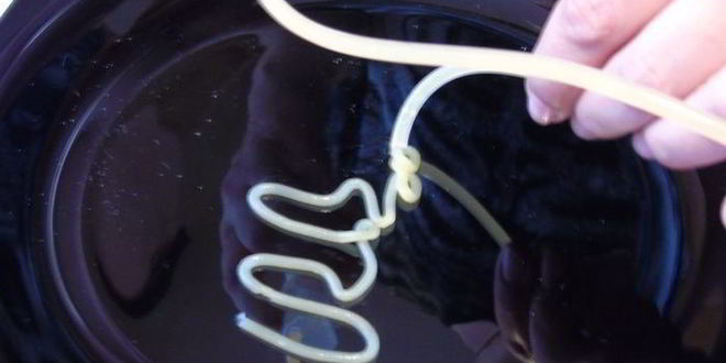 Рецепт молекулярные спагетти с шариками из водки