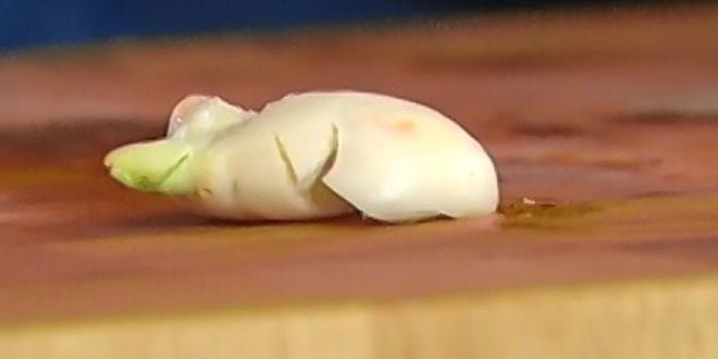 Рецепт спагетти с крабами и фенхелем