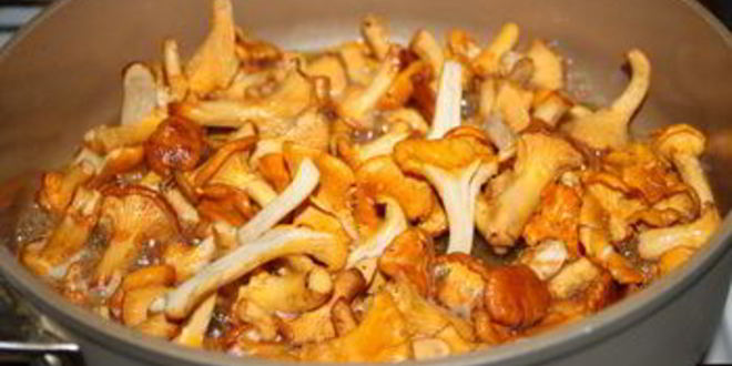 Рецепт спагетти с лисичками в сливочном соусе