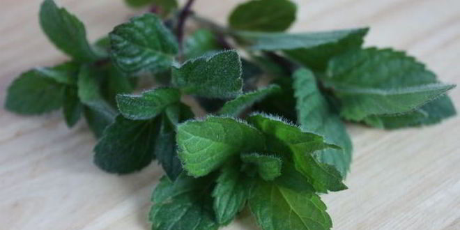 Рецепт весенняя паста