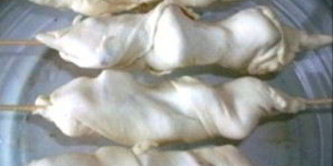 Рецепт индейка в тесте