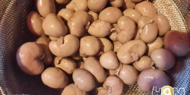 Рецепт кроликуропел с гречкой