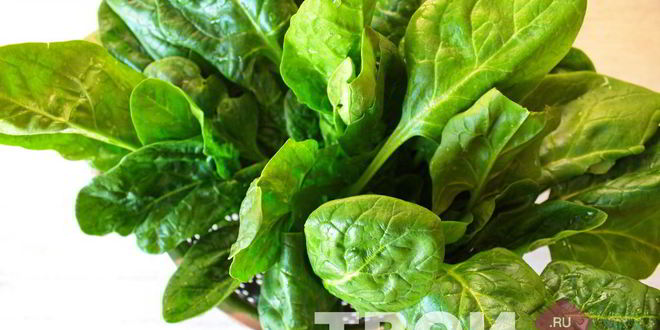 Рецепт куриная грудка со шпинатом