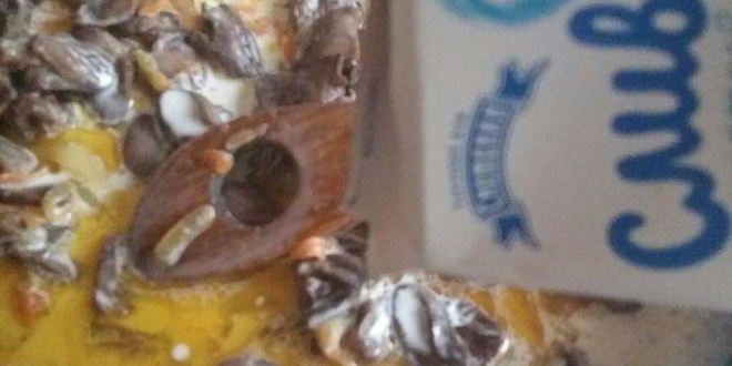 Рецепт куриные сердечки в сливочном соусе