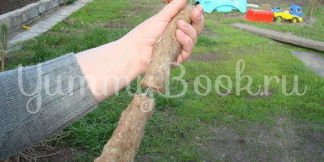 Рецепт люля-кебаб из говядины