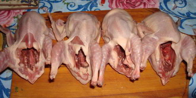 Рецепт перепела тушеные в белом вине