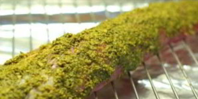 Рецепт свиная вырезка в духовке