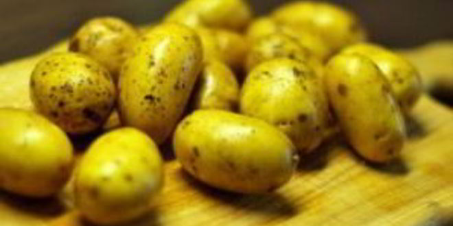 Рецепт свиная вырезка в духовке