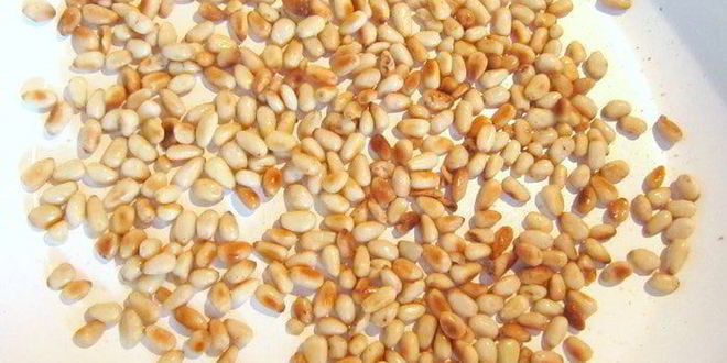 Рецепт фаршированные перцы из долины тисы