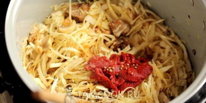 Рецепт капуста с мясом и грибами в мультиварке