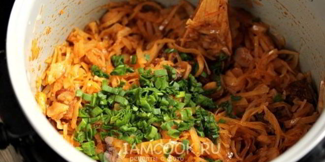 Рецепт капуста с мясом и грибами в мультиварке