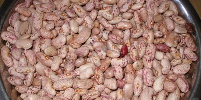 Рецепт лобио из фасоли в мультиварке