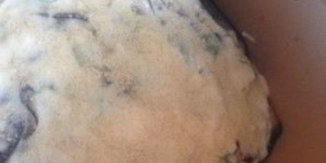 Рецепт мусака в мультиварке