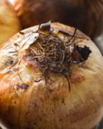 Печеный лук в духовке