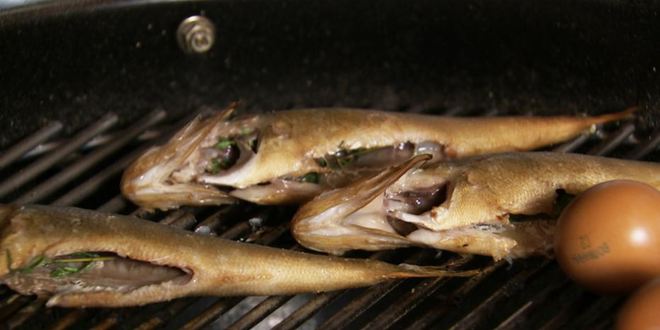 Рецепт перцы, фаршированные копченым окунем