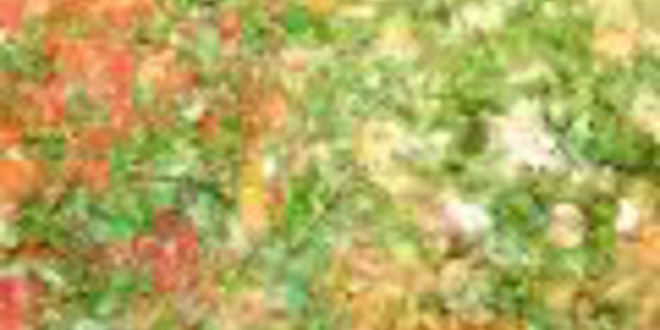 Рецепт ароматный плов с чечевицей