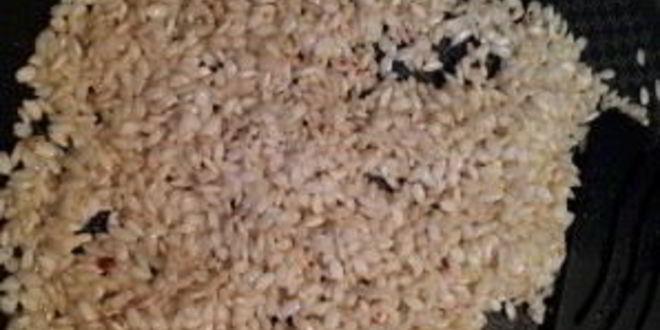 Рецепт паэлья с кальмарами