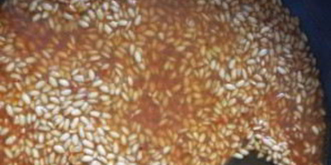 Рецепт паэлья с кальмарами