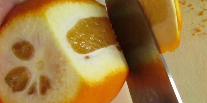 Рецепт плов фруктовый санаторский с апельсином