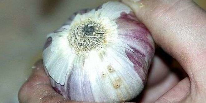 Рецепт плов классический