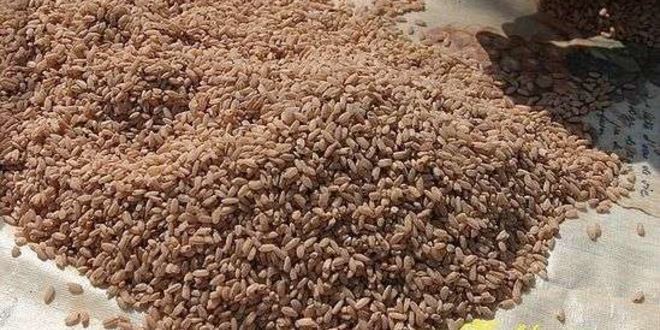 Рецепт плов классический