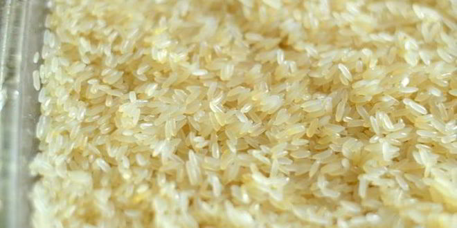 Рецепт плов с лососем