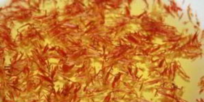 Рецепт плов с нутом и курицей