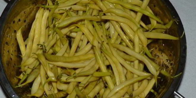 Рецепт летнее рагу с телятиной