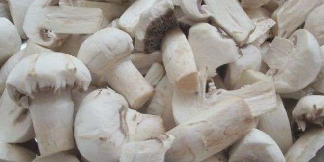 Рецепт овощное рагу с грибами